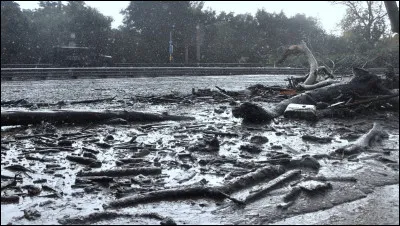 Qu'a utilisé Élisée pour que l'eau soit pure à Jéricho ?
