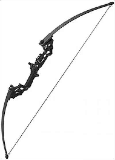 En voyant cet arc, vous pensez à :