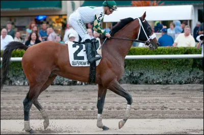 Leur carrière de course terminée, les chevaux deviennent majoritairement des chevaux d'élevage, de saut, simplement des chevaux de reprise ou bien ils passent le reste de leur vie à brouter au champ.