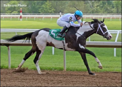 Pour gagner un trophée assez important et prisé en courses, les chevaux doivent avoir 4 ans et gagner 4 des courses les plus connues au monde; Kentucky Derby, Preakness Stakes, Belmont Stakes et Florida Derby.