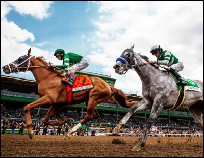 Le cavalier du cheval de course est nommé "jockey".