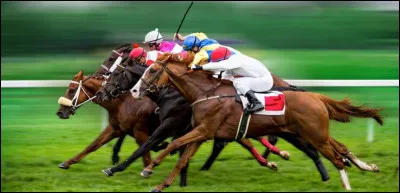 Santa Anita Park est un course connue pour ses 33 morts de chevaux d'affilée.