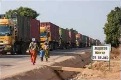 Quel animal est l'embl&egrave;me du Cameroun ?