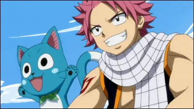 Comment s'appelle le chat volant et qui parle, de Natsu ?