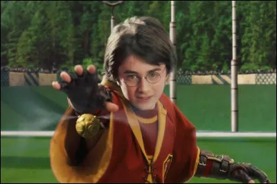 Quelles sont les couleurs des robes des Montrose Magpies ?