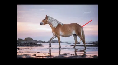 Comment se nomme cette partie ?