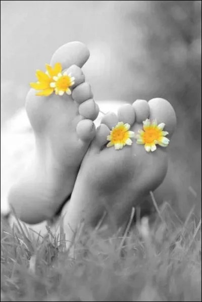 Et que vais-je dire en riant, à certains membres bien sympathiques, de Quizz.Biz qui jouent un quiz de temps en temps, mais qui préfèrent se prélasser plutôt que d'en créer ou d'en corriger ?