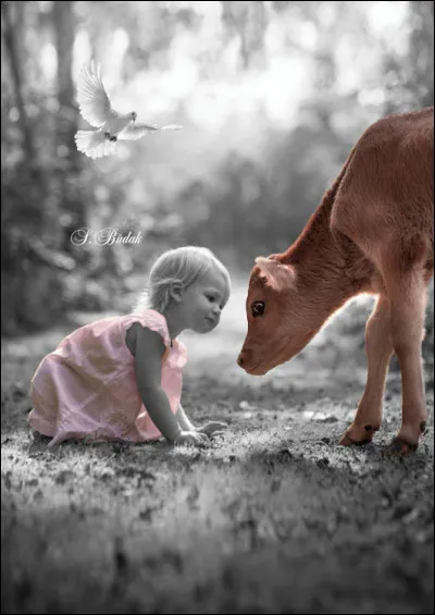 On connaît la chanson de la question précédente sous le nom "Une chanson douce", mais quel est son vrai titre ?