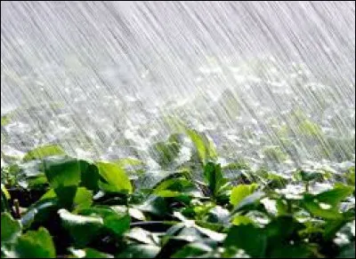 Toute la journée, il va pleuvoir très fort, il y aura...