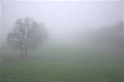 En automne, les routes sont dangereuses à cause...