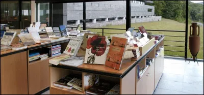 Quels écrivains ont cité Bibracte dans un de leurs livres ?
(3 réponses exactes)