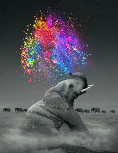 Retrouvez le livre pour enfants de Rudyard Kipling :