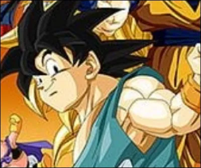 Qui Goku va-t-il entraîner ?