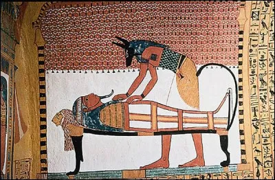 Dans l'&Eacute;gypte antique, la technique de l'embaumement exige une certaine connaissance de l'anatomie et une extr&ecirc;me minutie, afin que le corps d&eacute;funt conserve son int&eacute;grit&eacute; : le cerveau est retir&eacute; par les narines, puis les visc&egrave;res sont extraits de l'abdomen et d&eacute;pos&eacute;s dans 4 �, dispos&eacute;s pr&egrave;s du sarcophage.