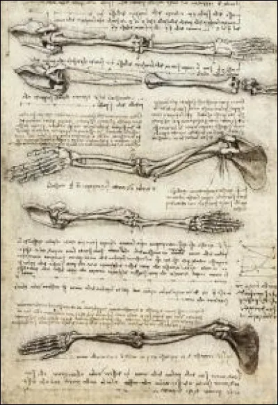 La collaboration des anatomistes avec les artistes de l'&eacute;poque va permettre un gain en pr&eacute;cision et en qualit&eacute; dans les repr&eacute;sentations anatomiques du corps humain. Quel c&eacute;l&egrave;bre peintre et inventeur est l'auteur de celle-ci ?