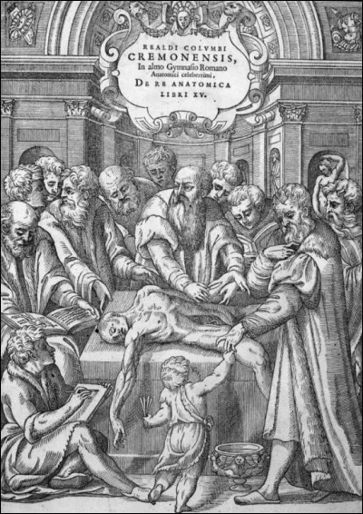 Au XVIIe si&egrave;cle, c'est l'av&egrave;nement d'une anatomie fonctionnelle. St&eacute;non d&eacute;montre la contraction musculaire cardiaque et Harvey la circulation sanguine. Ce dernier r&eacute;alisa plus de 40 dissections au cours de sa vie dont celles de...