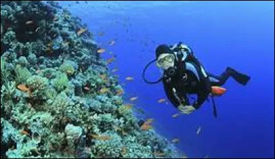 Quelle activité maritime est la plus pratiquée à la station nautique de La Ciotat ?