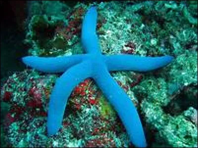 Combien d'étoiles détient la station nautique de La Ciotat en 2020 ?