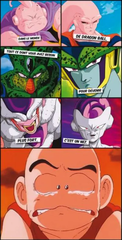 D'après cette image, on en déduit que ... n'a pas de nez. (DBZ)