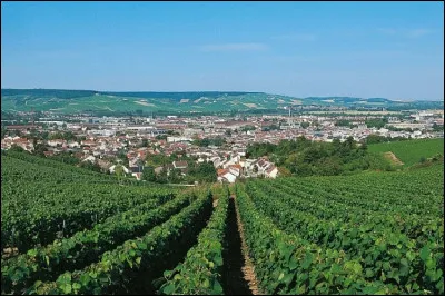 Ville sur la Marne, capitale des vins de Champagne :