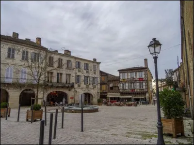 Petite ville de 4 000 habitants du département du Gers, située sur la Gélise :