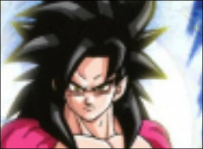 En plus de Goku et Broly, qui appara&icirc;t sur la jaquette du jeu ?