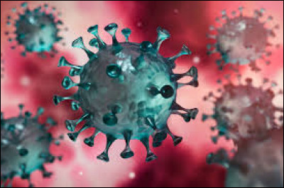 Quel est l'autre nom donné du Coronavirus ?