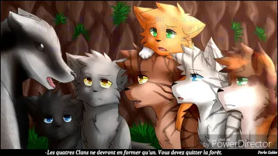 Pelage d'Orage est élu pour aller voir Minuit dans le deuxième cycle.