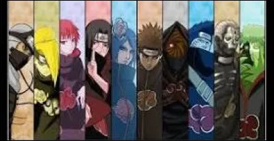 Quel membre de l'Akatsuki adores-tu ?