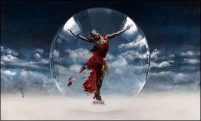 Quel personnage c&eacute;l&egrave;bre, souvent repr&eacute;sent&eacute; en peinture, cette photographie &eacute;voque-t-elle ?