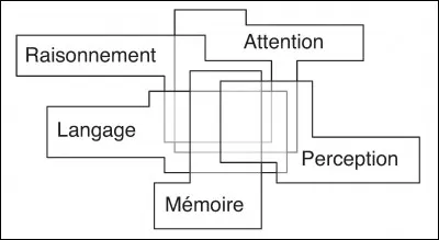 Le système cognitif...