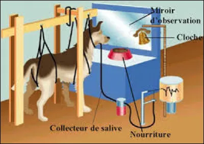 Qu'a démontré Pavlov à travers sa célèbre expérience ?