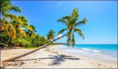 J'ai trouvé une entreprise de Fort-de-France en Martinique qui m'accepterait pour une PMSMP ; puis-je y aller ?