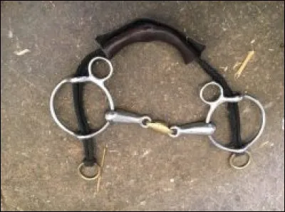 Que voyons-nous sur cette image ?