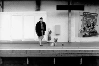 Trouverez vous celle-ci ?