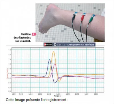 Cette image repr&eacute;sente l'enregistrement...