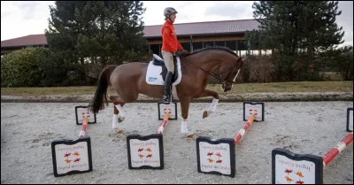 Les cavaletti, c'est...