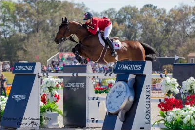 Bravo, tu as réussi à te rendre aux JO !