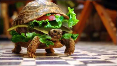 C'est un hamburger. Mais de plus près, on voit la tête d'une :