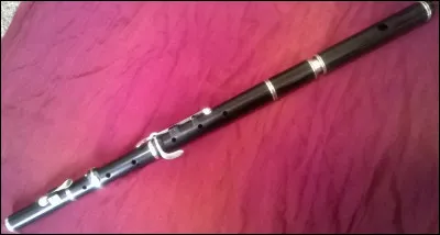 Quelle sorte de flûte n'existe pas ?