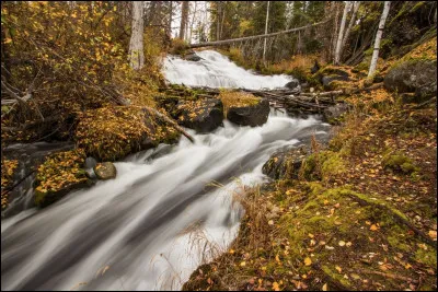 Que veut dire l'abréviation "NWT" ?