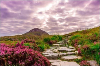 O&ugrave; se situe la r&eacute;gion de Connemara ?
