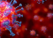 Quiz 10 questions sur le coronavirus