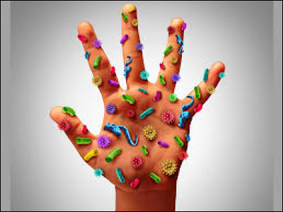 Après le lavage des mains, au bout de combien de temps les bactéries reviennent-elles ?