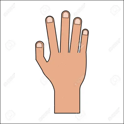 Les virus et bactéries peuvent se loger sous les ongles.