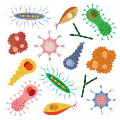 Quel est le moyen de transport favori des virus et bactéries ?