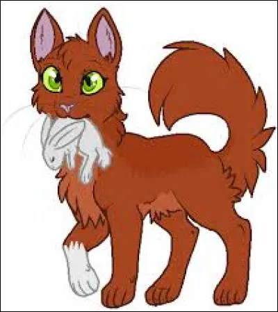 Je suis rousse avec une unique patte blanche, ma soeur se nomme Feuille de Lune.