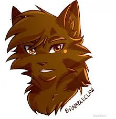 Mon père est Étoile du Tigre et ma mère Bouton d'Or.
Ma sur s'appelle Pelage d'Or. Je suis chef après Étoile de Feu.