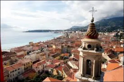 On peut associer ce fruit &agrave; la ville de Menton gr&acirc;ce &agrave; sa c&eacute;l&egrave;bre f&ecirc;te !