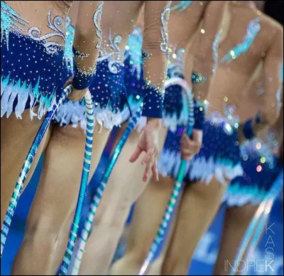 Que signifient les initiales FIG ?